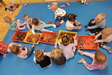 Dzieci przy darach jesieni - liście, żołędzie