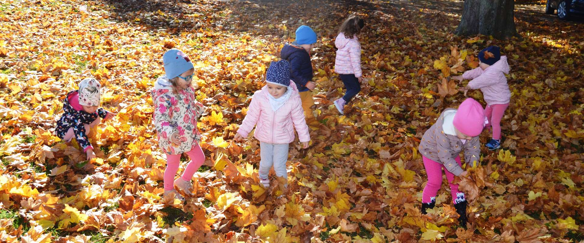 Dzieci z grupy Misiów w jesiennym parku