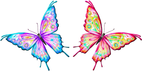 Dwa kolorowe motyle