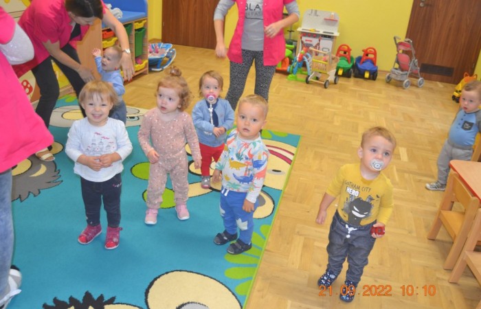 Roztańczone Żabki