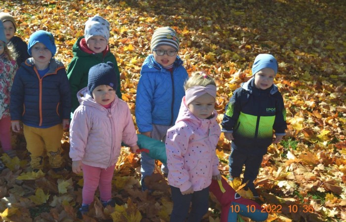Misie w jesiennym parku