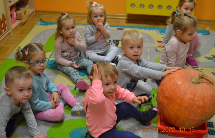 Dzień Dyni u Misiów