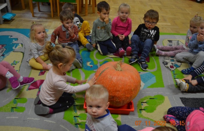 Dzień Dyni u Misiów
