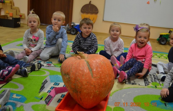 Dzień Dyni u Misiów