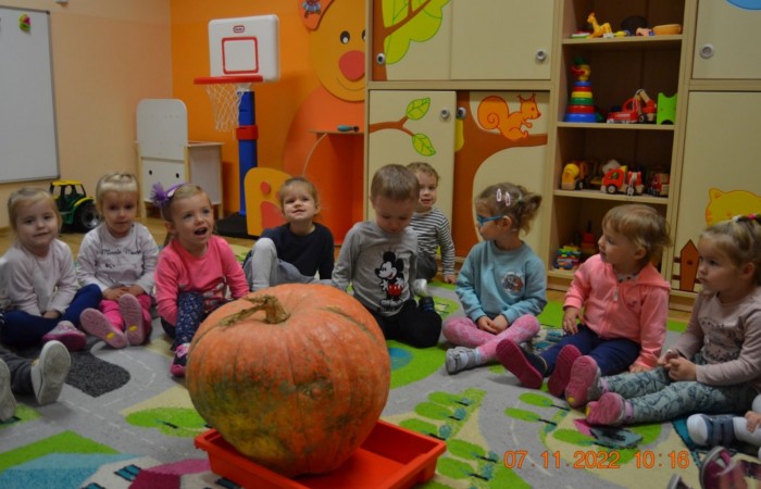 Dzień Dyni u Misiów