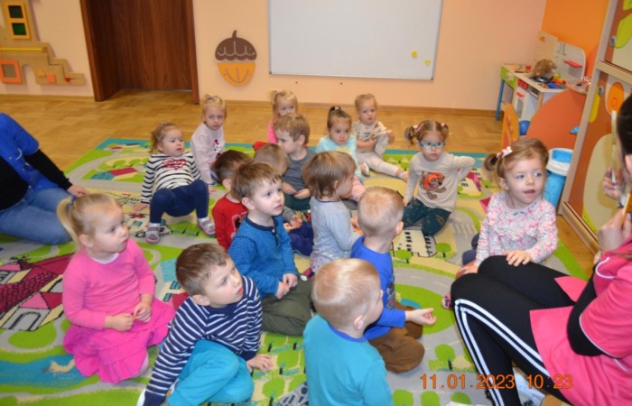 Ptaszki w karmniku