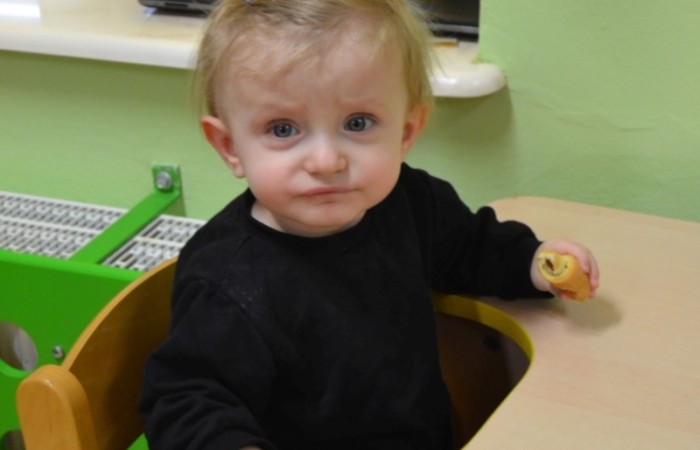 Dzień Rogalika