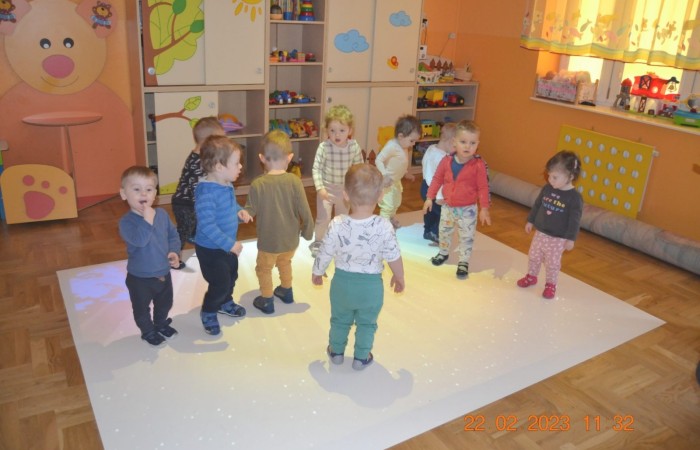 Żabki na „magicznym dywanie”