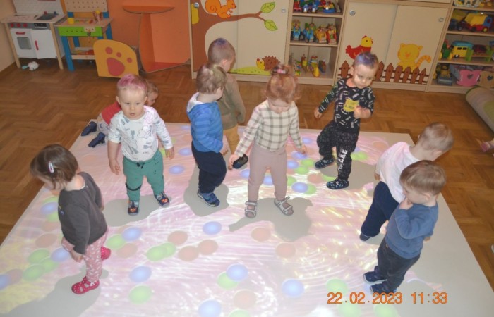 Żabki na „magicznym dywanie”