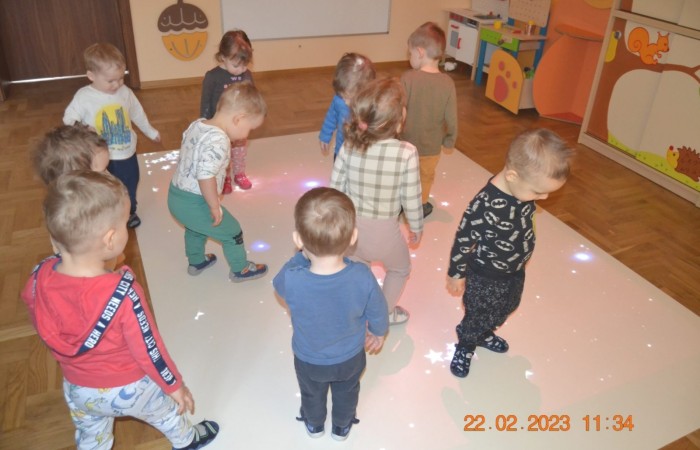 Żabki na „magicznym dywanie”