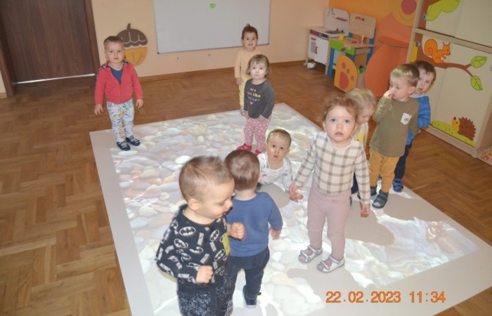 Żabki na „magicznym dywanie”