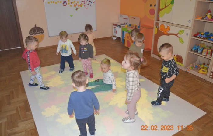 Żabki na „magicznym dywanie”