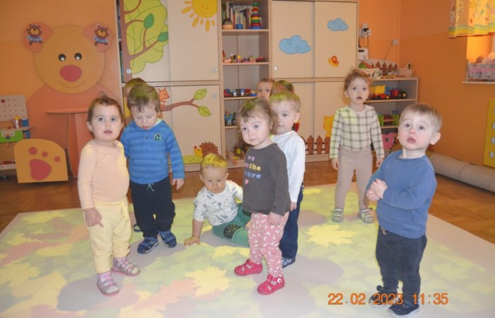Żabki na „magicznym dywanie”