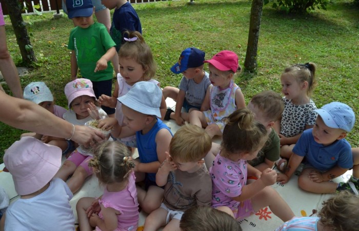Spotkanie z alpakami w grupie Misie